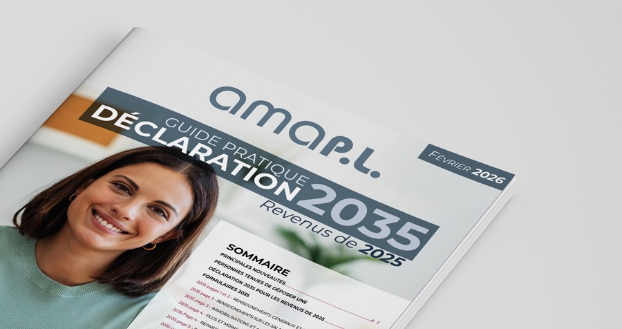 Guide pratique déclaration 2035