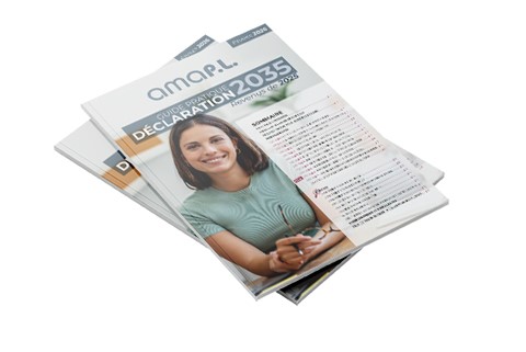 Guide 2035 - revenus de 2025